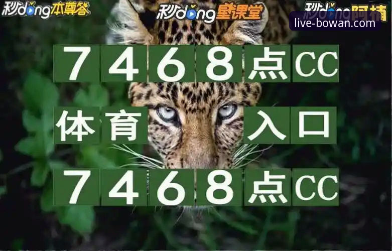 博万评价手机版 手机观赛必备:博万体育平台4大实用功能深度解析